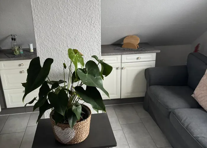 Dein Zuhause Auf Zeit!